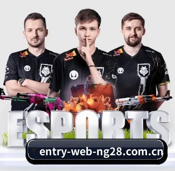 www.entry-web-ng28.com.cn APP
